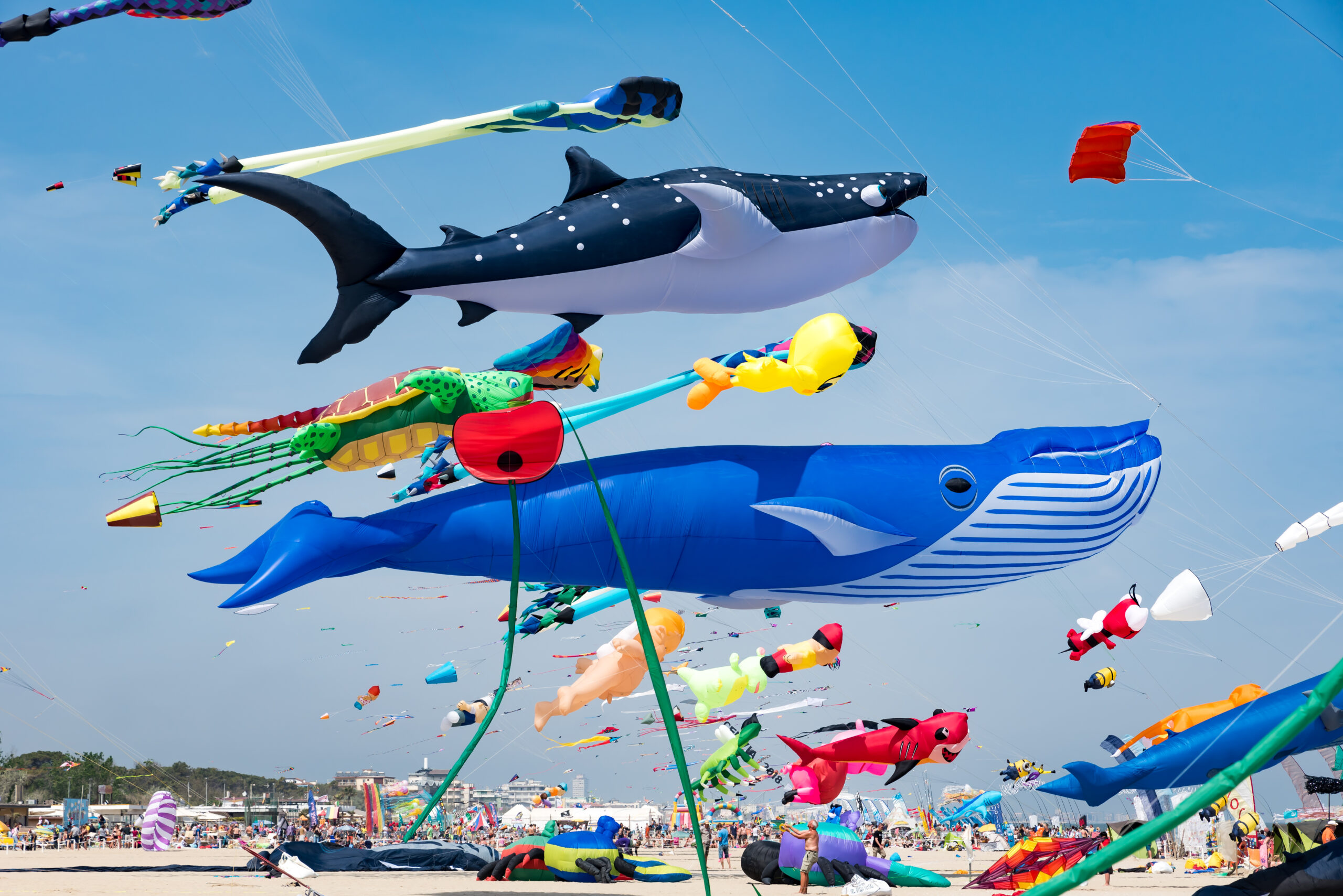 Kites with blue sky and white clouds